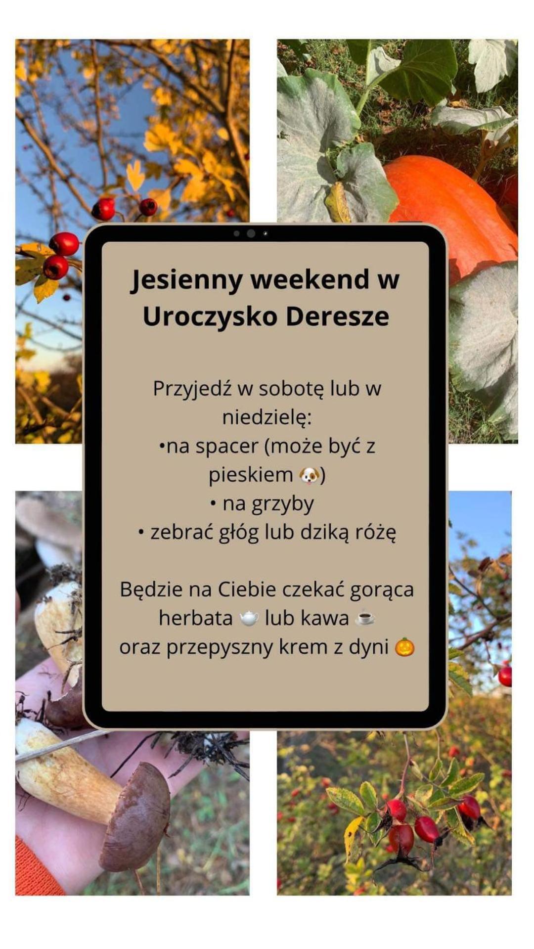 Uroczysko Deresze Gilawy